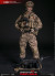【DAM】DMS007 ELITE SERIES 1/6 OPERATION RED SEA 紅海行動 オペレーション：レッドシー 1/6フィギュア