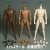 【Yishun Culture】DT001/DT002/DT003 1/6 NEW TYPE STANDARD MALE BODY 新型標準男素体