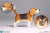 【DID】E60060 1/6 Diorama of "Star of Afrika" アフリカの星 ハンス＝ヨアヒム・マルセイユ用拡張 ジオラマセット ヘッド＆犬付属