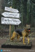【DID】E60072 1/6 Signs Accessory Kit WW2 ドイツ案内標識＆ジャーマンシェパードドッグ 犬 ジオラマセット 《予約7月》