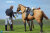 【DID】E60076 U.S. Civil War Brown War Horse (Standing) アメリカ南北戦争 騎馬 馬 ブラウン 鞍付 （スタンディング）
