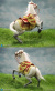 【DID】E60078 Napoleon White Horse (Prancing) ナポレオン愛馬 マレンゴ 騎馬 跳ね馬 白馬 ホワイト 鞍付 （プランシング）
