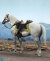 【DID】E60086 U.S. Civil War White War Horse (Standing) アメリカ南北戦争 騎馬 白馬 ホワイト 鞍付 （スタンディング）