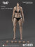 【True1Toys】EC3029P/S EC3030P/S 1/6 Scale peaches buttocks version of the movable female body ガールボディ 筋肉質