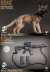 【FLAGSET】FS-73042 1/6 USMC Dog Trainer アメリカ軍 アメリカ海兵隊 ドッグトレーナー 女性兵士  + 犬付属