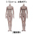【HengToys】HY001A HY002B 1/12スケール 女性ボディ素体