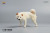 【JxK.Studio】JXK054ABC shiba inu Leg Lift 1/6スケール 柴犬 イヌ
