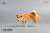 【JxK.Studio】JXK054ABC shiba inu Leg Lift 1/6スケール 柴犬 イヌ