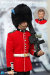 【DID】K80134B The Guards イギリス陸軍近衛師団 イギリス近衛兵 ヘッドタイプB 1/6スケールアクションフィギュア