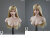 【LZ TOYS】SET013 A/B/C/D 1/6 Beauty Headsculpt Feier 1/6スケール 女性ヘッド