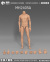 【MAHA studio】MH2405A/B/C Muscle Body Style MALE ACTION BODY 1/6スケール 男性ボディ素体 デッサン人形