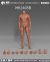 【MAHA studio】MH2405A/B/C Muscle Body Style MALE ACTION BODY 1/6スケール 男性ボディ素体 デッサン人形