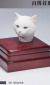 【Mostoys】MS2206 A/B/C/D 1/6 Cat Head 猫 ネコ イエネコ 1/6スケール 動物ヘッド