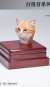【Mostoys】MS2206 A/B/C/D 1/6 Cat Head 猫 ネコ イエネコ 1/6スケール 動物ヘッド