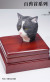 【Mostoys】MS2206 A/B/C/D 1/6 Cat Head 猫 ネコ イエネコ 1/6スケール 動物ヘッド