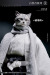 【Mostoys】MS2206 A/B/C/D 1/6 Cat Head 猫 ネコ イエネコ 1/6スケール 動物ヘッド