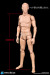 【DID】OA60002 1/6 All New Advanced Body (Slim Ver.)  1/6スケール 男性ボディ素体