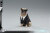 【PCTOYS】PocketCosmos PC022C 1/12 Agent J&K エージェント2体セット+パグ犬 1/12スケールアクションフィギュア