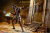 【TBLeague】TBリーグ PL2020-168 1/12 Anubis Guardian of The Underworld エジプト神話 冥界の神 アヌビス
