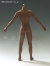 【Phicen】male seamless body PL2016-M31 ファイセン 1/6スケール シームレス男性ボディ（ヘッドなし）
