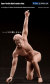 【TBLeague】male seamless body PL2016-M31 ファイセン 1/6スケール シームレス男性ボディ（ヘッドなし）