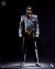 【INART】Queen studios QS-A012 1/6 Michael Jackson