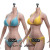 【TBLeague】PLLB2020-S36A (pale) S37A (pale) TBリーグ 1/6スケール シームレス女性ボディ （ヘッドなし）