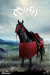 【COO】SE0101 1/6 SERIES OF EMPIRES - KISOKOMA (BATTLE STEED) 木曾駒 木曽馬 軍馬 騎馬 1/6スケール馬フィギュア