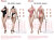 【TBLeague】SR-AD01 / SR-AD02 Female Super Flexible Seamless Bodies