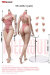 【TBLeague】SR-AD01 / SR-AD02 Female Super Flexible Seamless Bodies