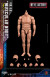 【Soldier Story】SSA-003 1/6 MUSCULAR BODY Type-C 汎用男性素体 マスキュラータイプ 1/6スケール 男性ボディ素体