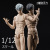 【V Toys X BMS】VB002/VB003 1/12th action figure for custom The One フィギュアボディ