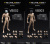 【V Toys X BMS】VB002/VB003 1/12th action figure for custom The One フィギュアボディ