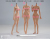 【VeryCool】BODY NO.1 VCD-01 / BODY NO.2 VCD-02 ABC 1/6 medium chest Standard universal women silicone body