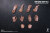 【VeryCool】BODY NO.5 VCD-05B 1/6  Silicone Female Body マスキュラータイプ