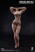 【VeryCool】BODY NO.5 VCD-05B 1/6  Silicone Female Body マスキュラータイプ
