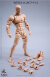 【WindToys】WT001-A / WT001-B / WT001-C 1/12 超可動男性素体 フィギュアボディ デッサン人形 1/12スケールフィギュア 男性ボディ素体