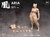 【Whale Works】WW01 WW02 A/B/C 1/12 Super Movable Female Figure ARIA/ Rin