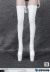 【ZYTOYS】ZY1014 High zipper women's boots ロングブーツ 1/6スケール 女性用シューズ