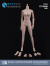 【ZYTOYS】ZY-B008 / ZY-B009 Chested White-Muscled Female Body 1/6スケール 女性フィギュアボディ素体 デッサン人形