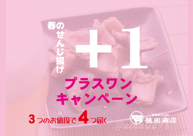 せんじ揚げプラスワンキャンペーンメイン画像