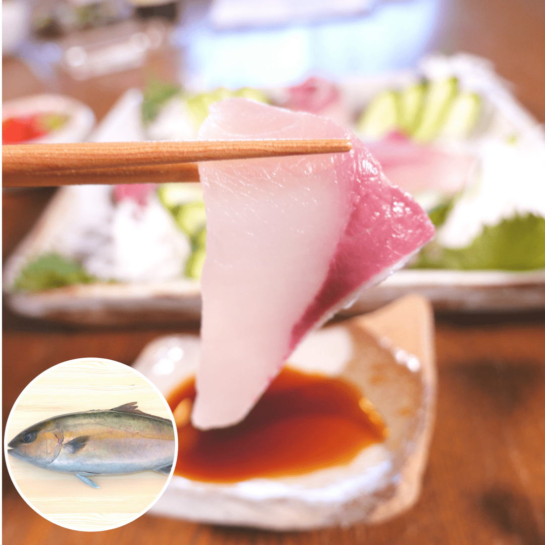 活〆日向灘かんぱちラウンド 丸 宮崎県延岡産 請関水産