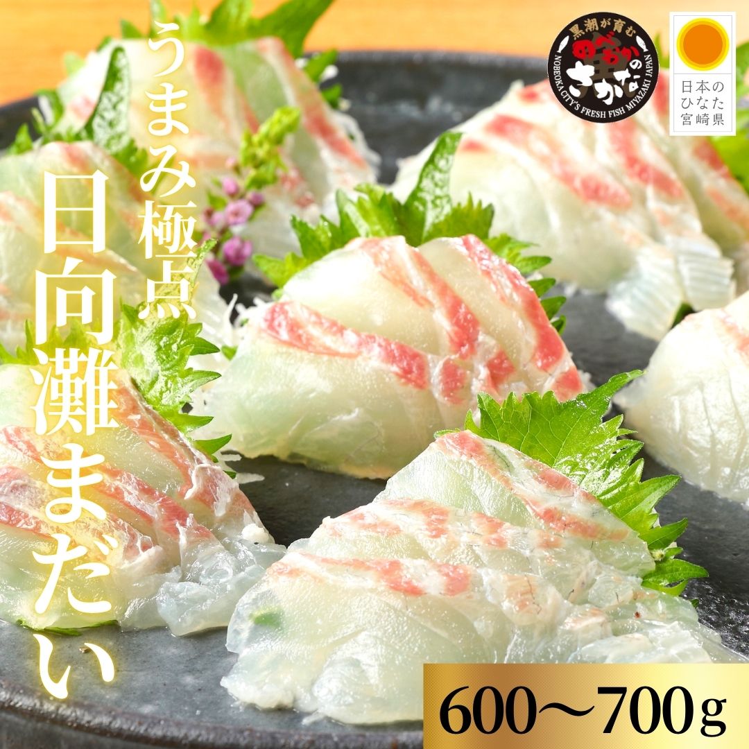 うまみ極点製法 日向灘真鯛（柵）約600～700g【送料無料】