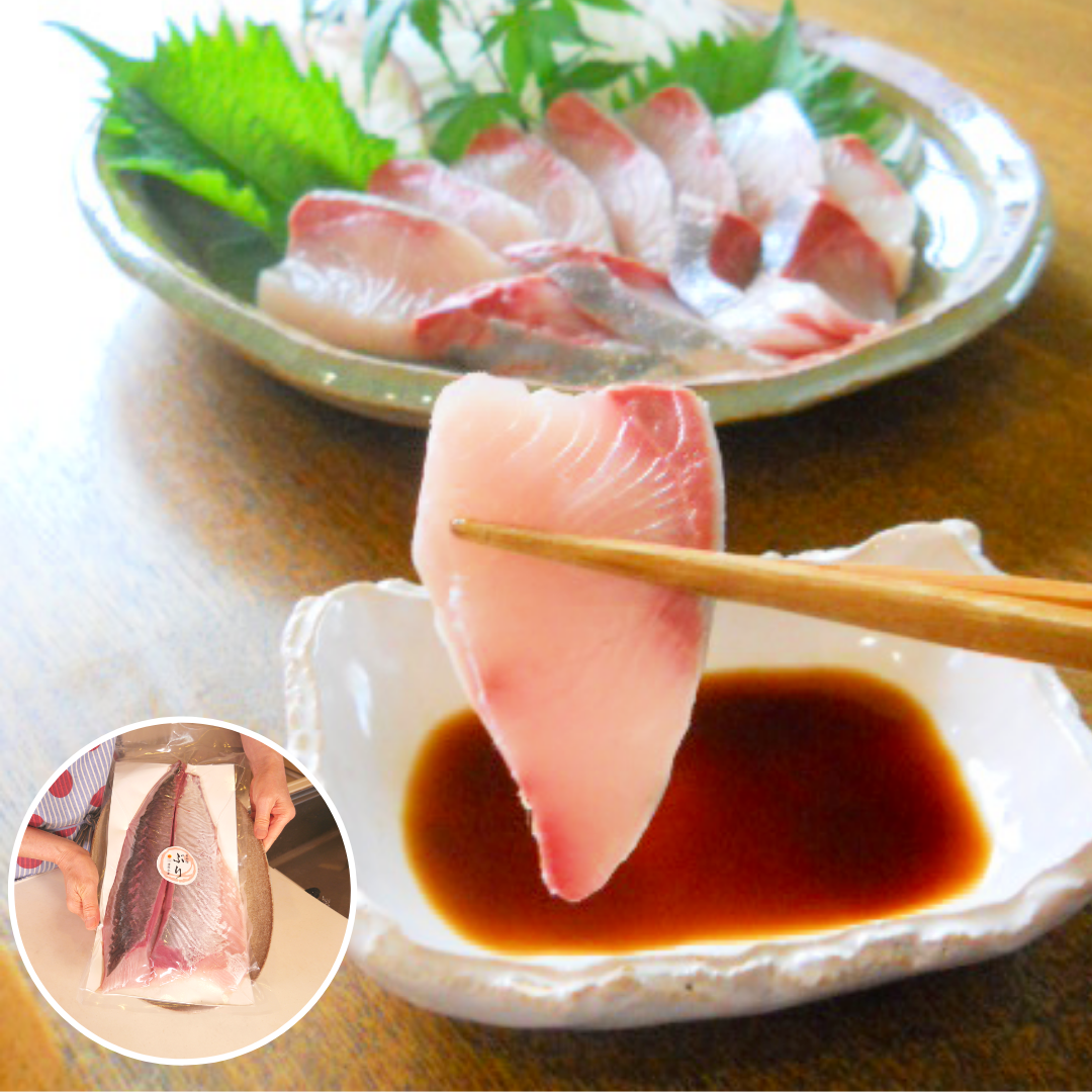 活〆鮮魚 日向灘ぶり はまち 生 半身分ロイン さく 九州宮崎県延岡産 刺身用ブリ ハマチ 生