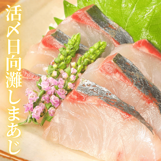 活〆日向灘しまあじ 食べきりパック（柵） 約300ｇ