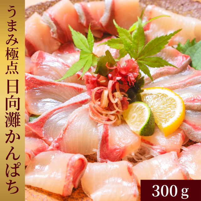 うまみ極点製法 日向灘かんぱち(柵) 約300g【送料無料】