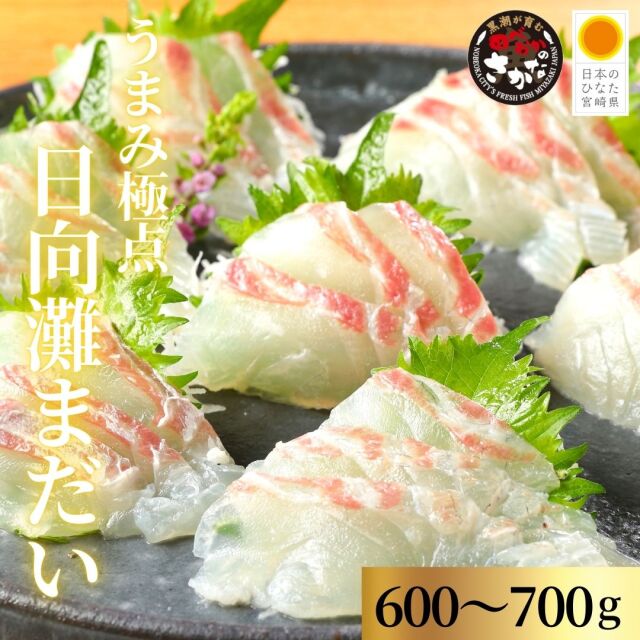 うまみ極点製法 日向灘真鯛(柵)約600~700g【送料無料】