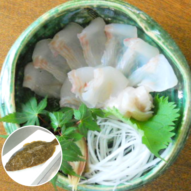 日向灘ひらめ 活〆鮮魚 九州 宮崎産直 おいしいお刺身専門店 請関水産