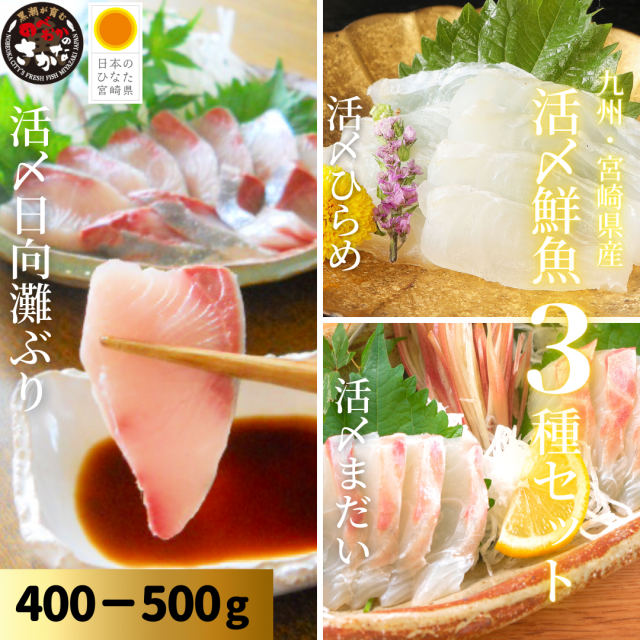 【送料無料】活〆鮮魚３種セット 約400-500ｇ（柵）／日向灘ぶり・真鯛・ひらめ