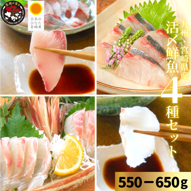 【送料無料】活〆鮮魚４種セット 約550-650ｇ（柵）／日向灘ぶり・真鯛・ひらめ・しまあじ